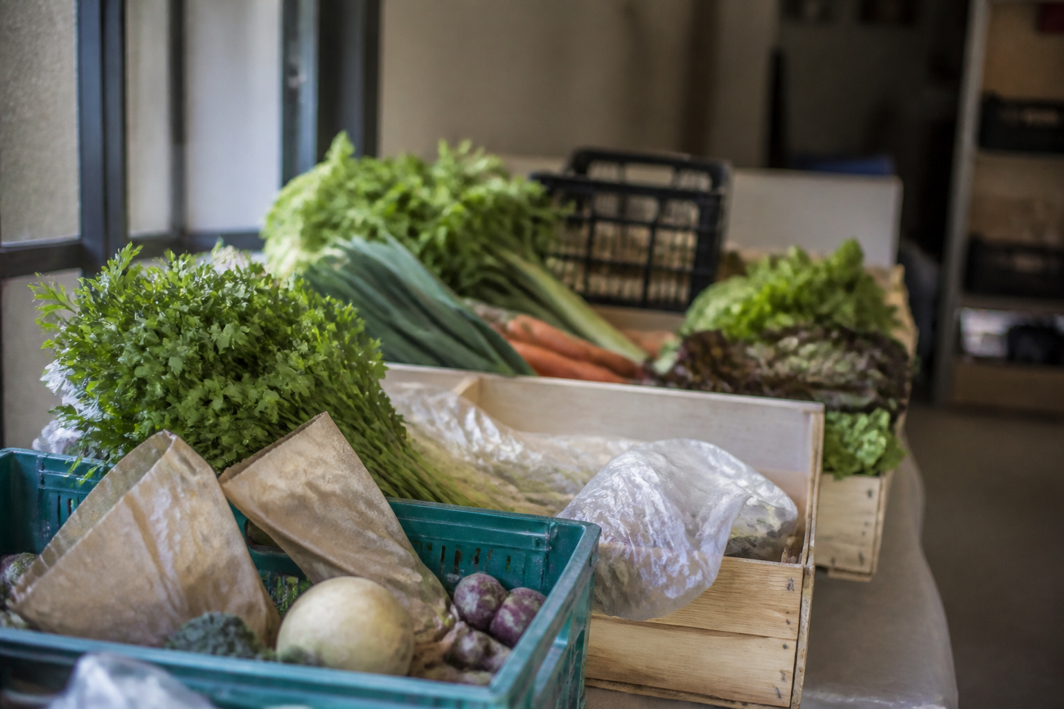 Table de distribution d'un panier hebdomadaire : cagettes de légumes, balance, liste d'émargement et sacs en toile posés côte à côte sous un préau